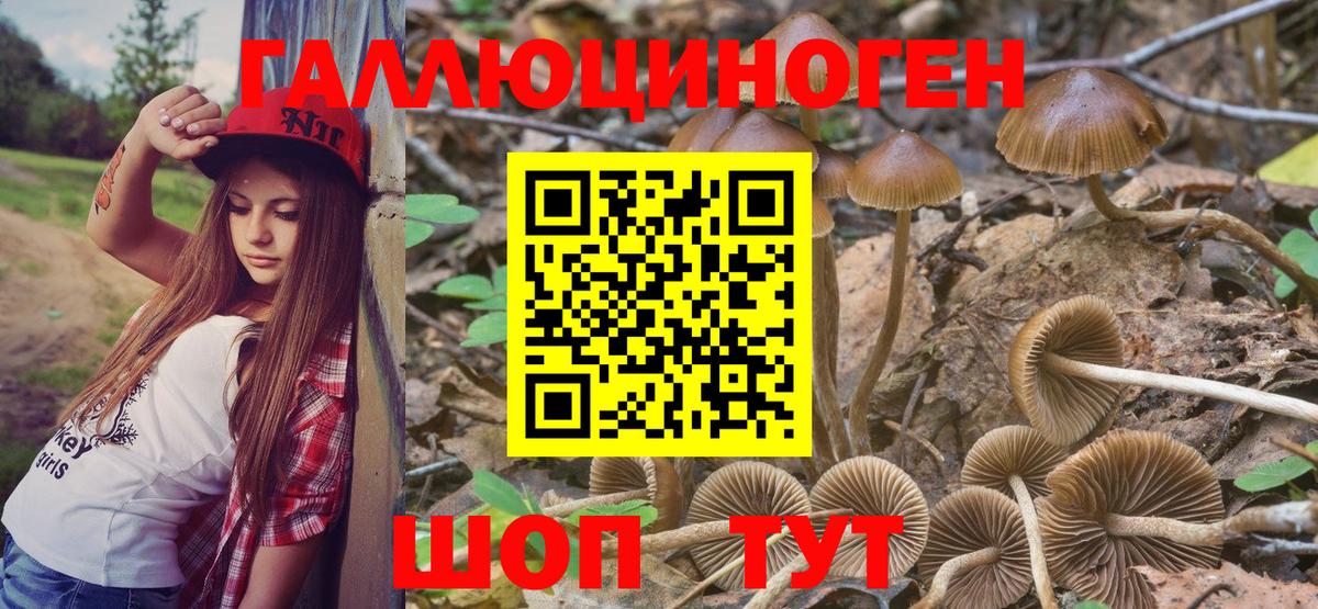 Псилоцибиновые грибы Cubensis  Псилоцибиновые грибы Psilocybe  Владимир  Вход с VPN 