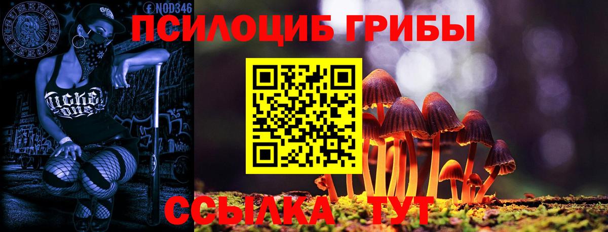 Галлюциногенные грибы Magic Shrooms Владимир